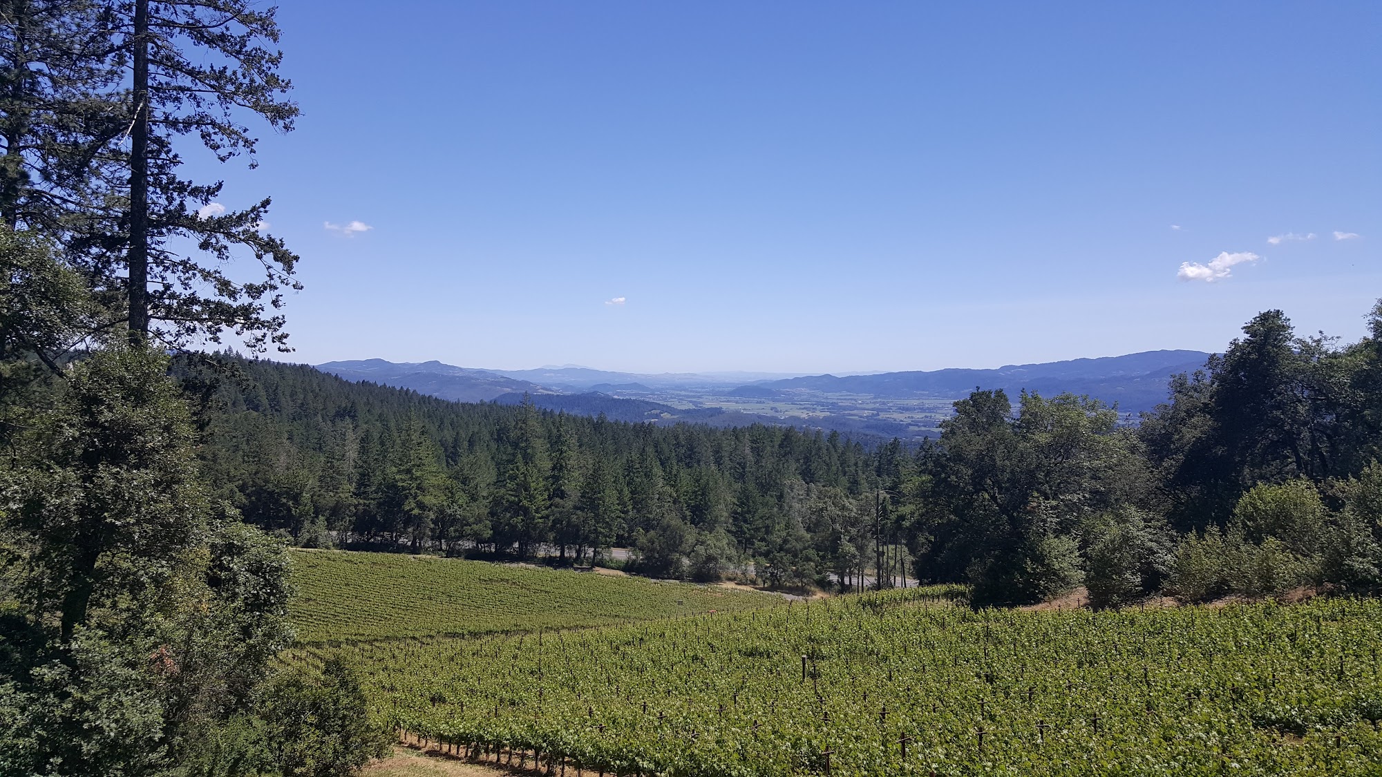 CADE Estate Winery Menu