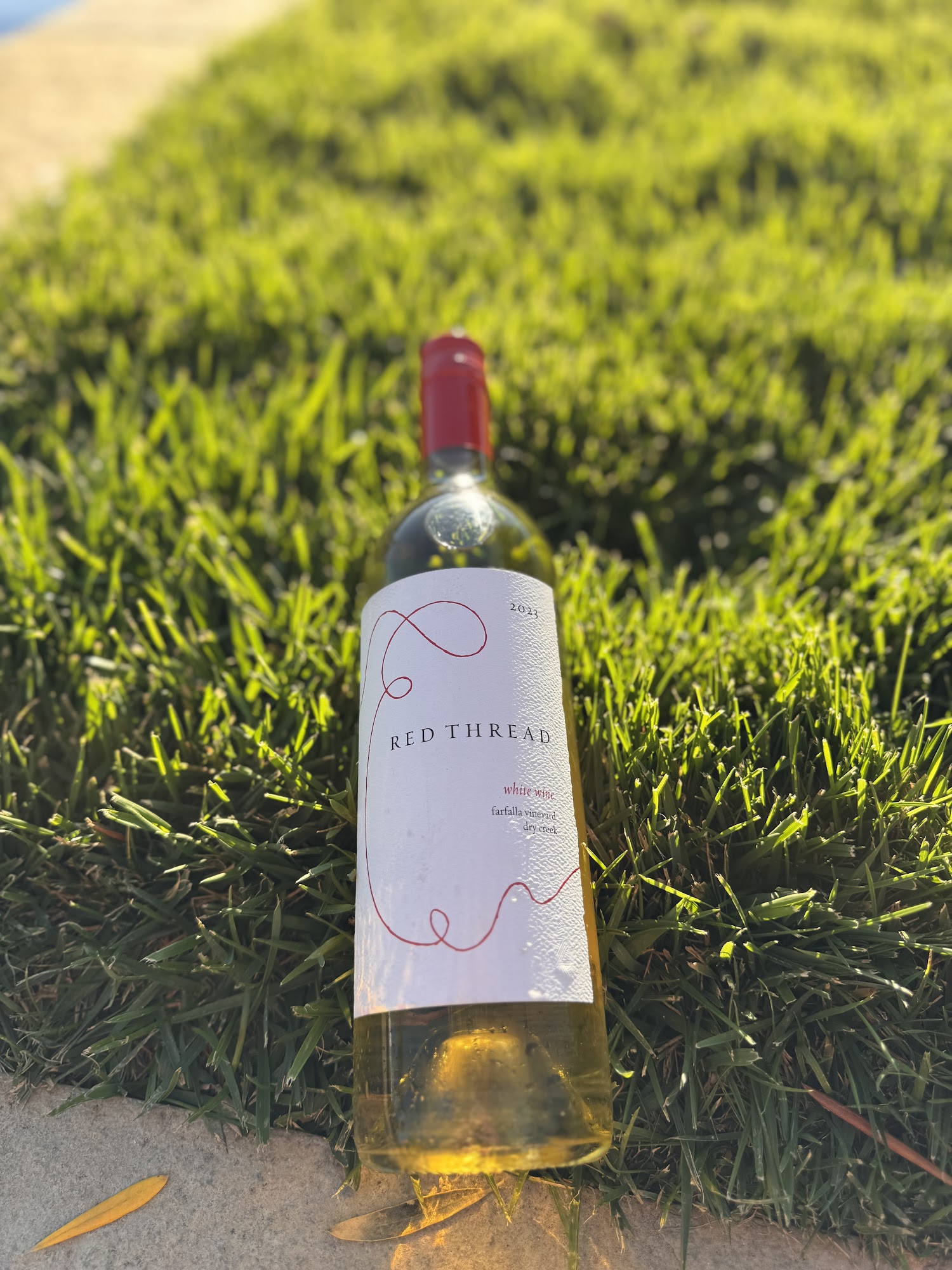 Red Thread Wines Menu