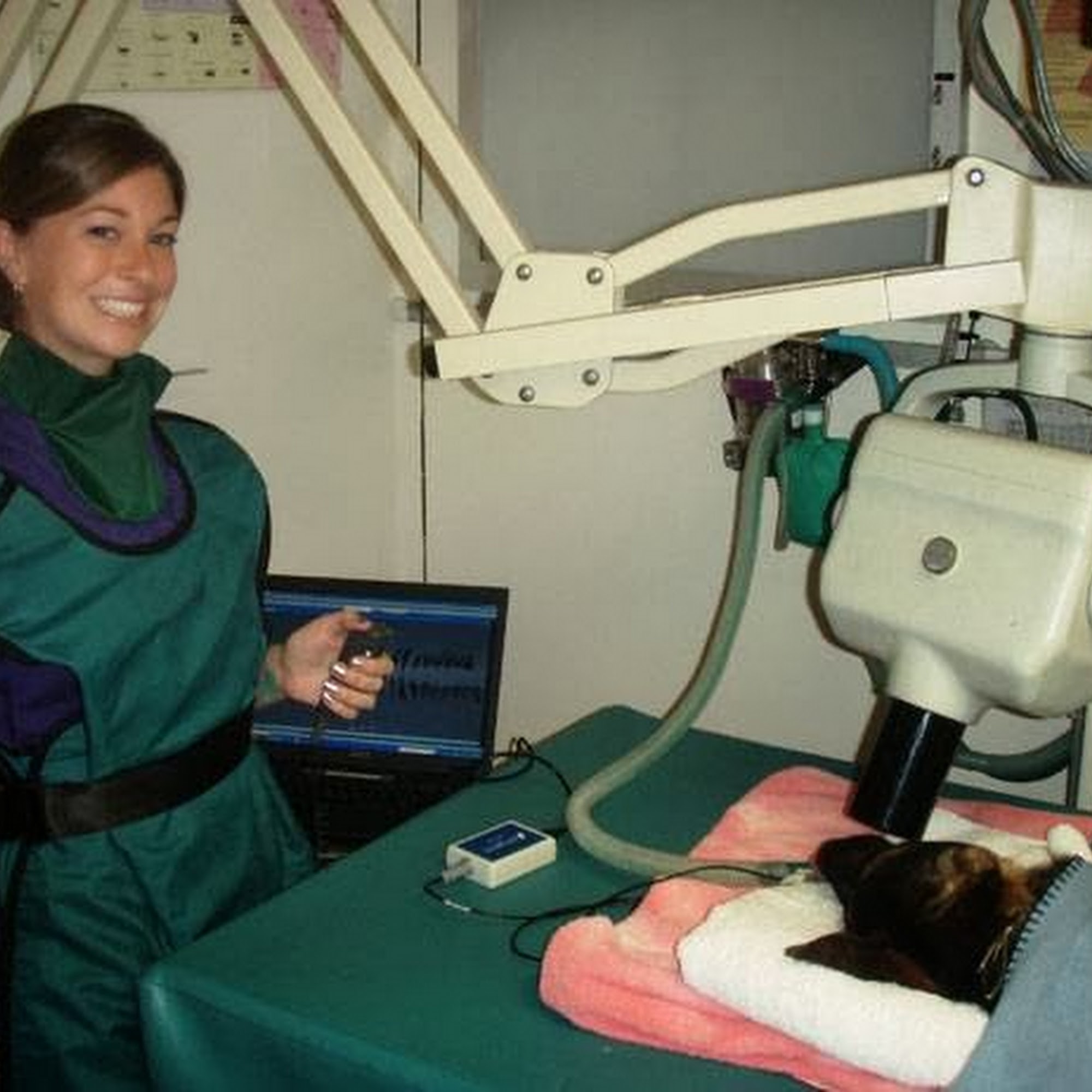 East Hills Veterinary Hospital Antioch