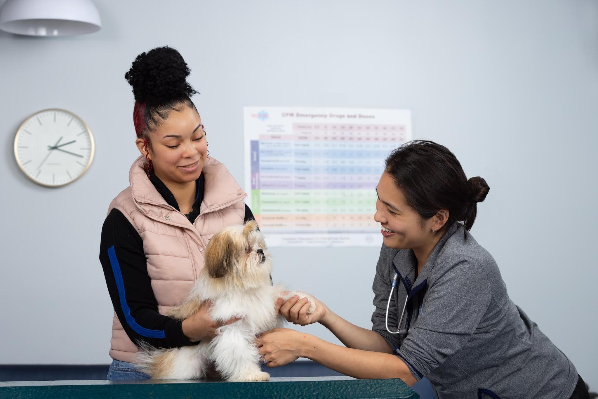 VCA East Bay Veterinary Emergency Antioch