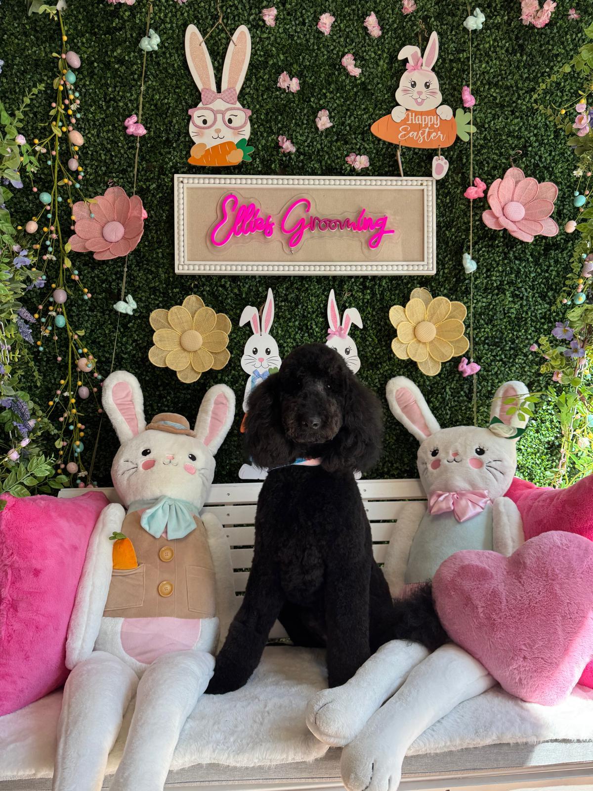 Photo credit: nextdoor