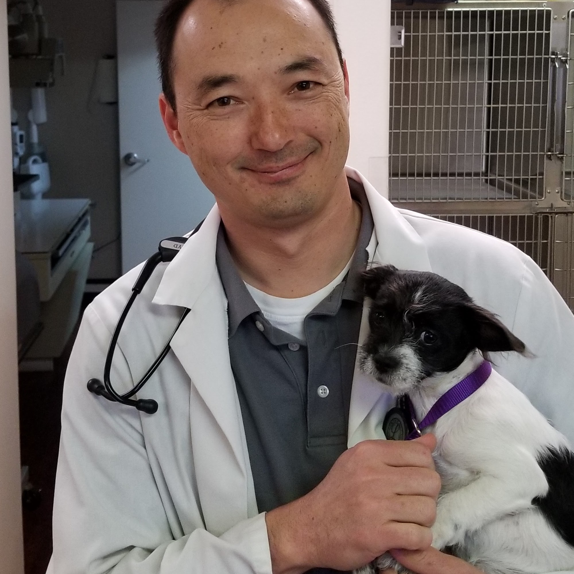 Animal Care Hospital Apple Valley