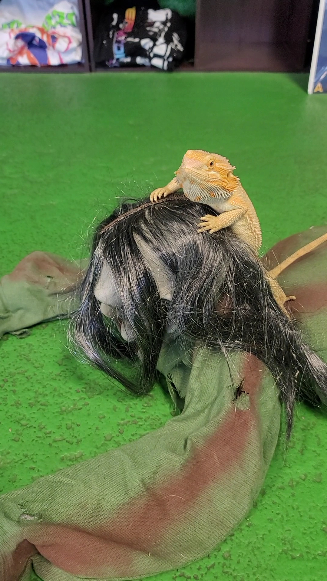 Rog Reptiles Apple Valley