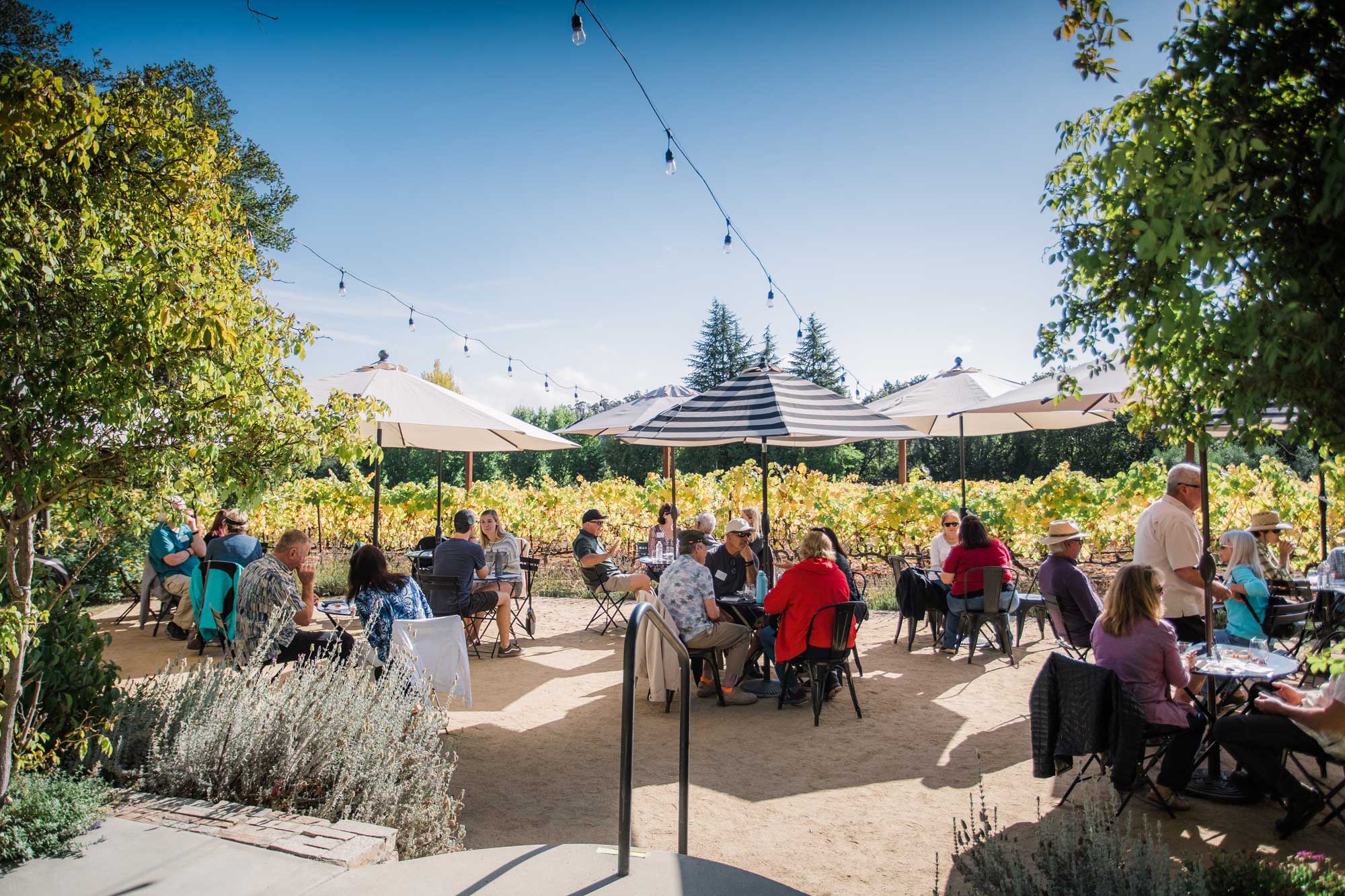 Nicholson Vineyards Winery Menu