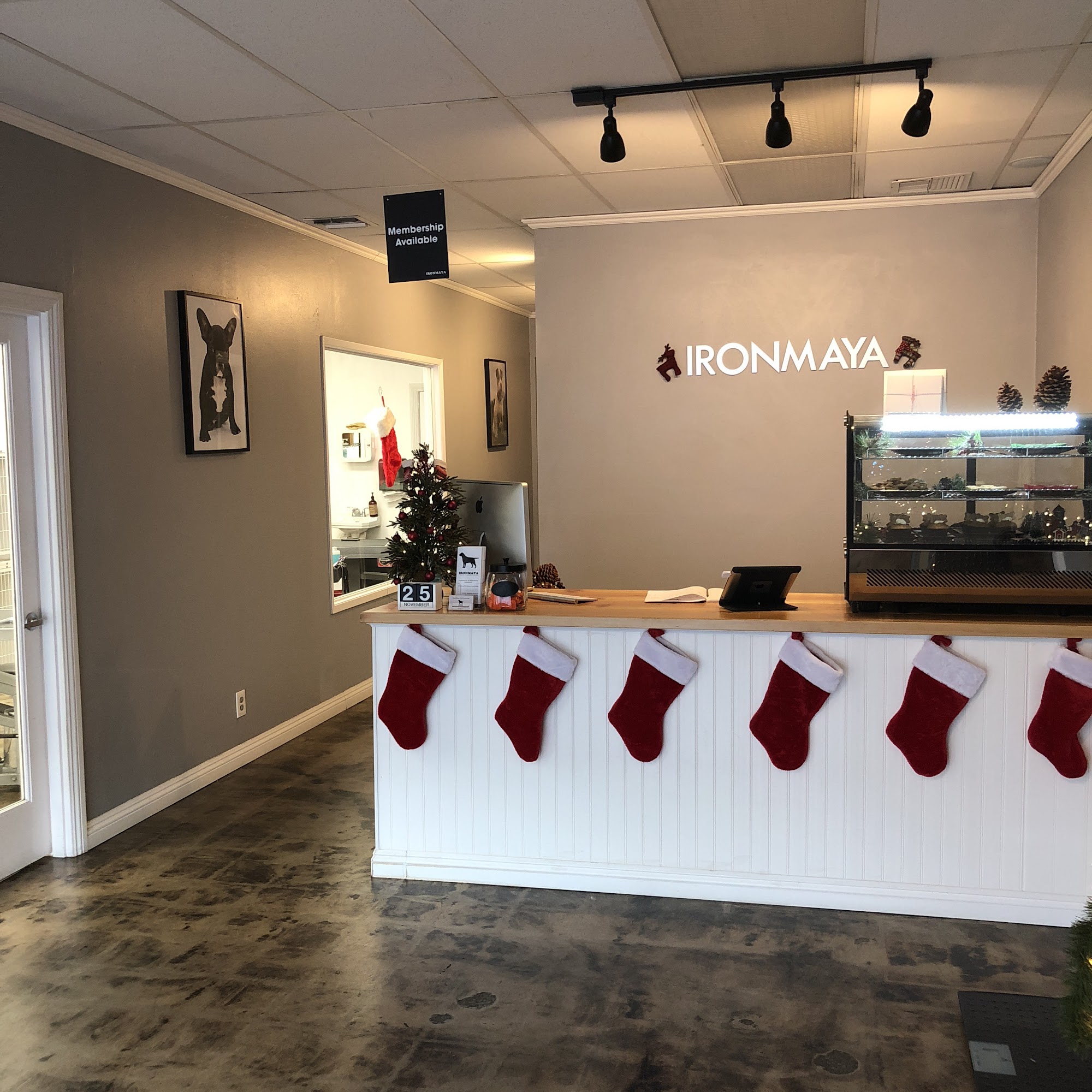 Ironmaya Pet Grooming Arcadia
