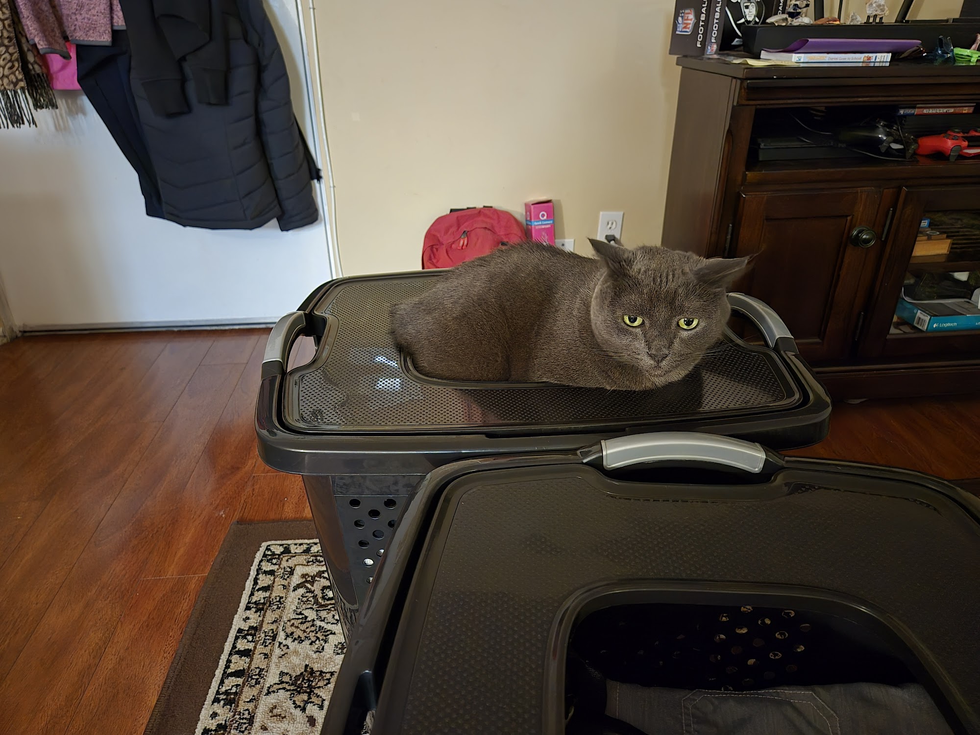 Las Tunas Animal Hospital Arcadia