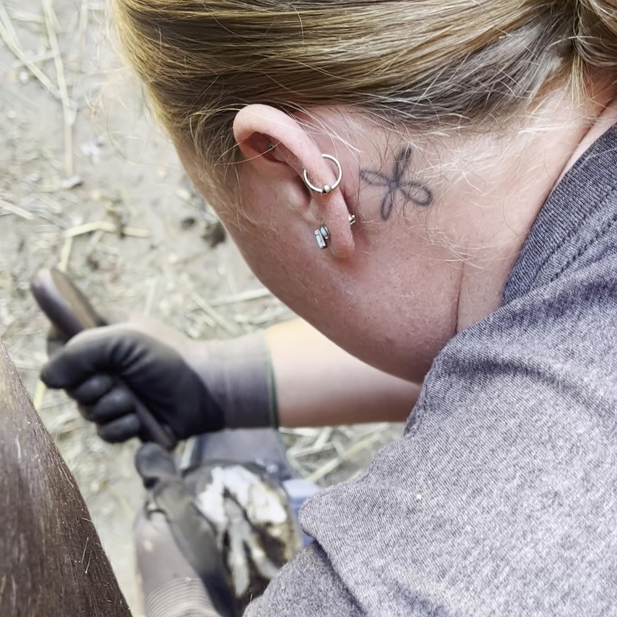 North Coast Veterinary Hospital - Equine & Livestock Care Arcata