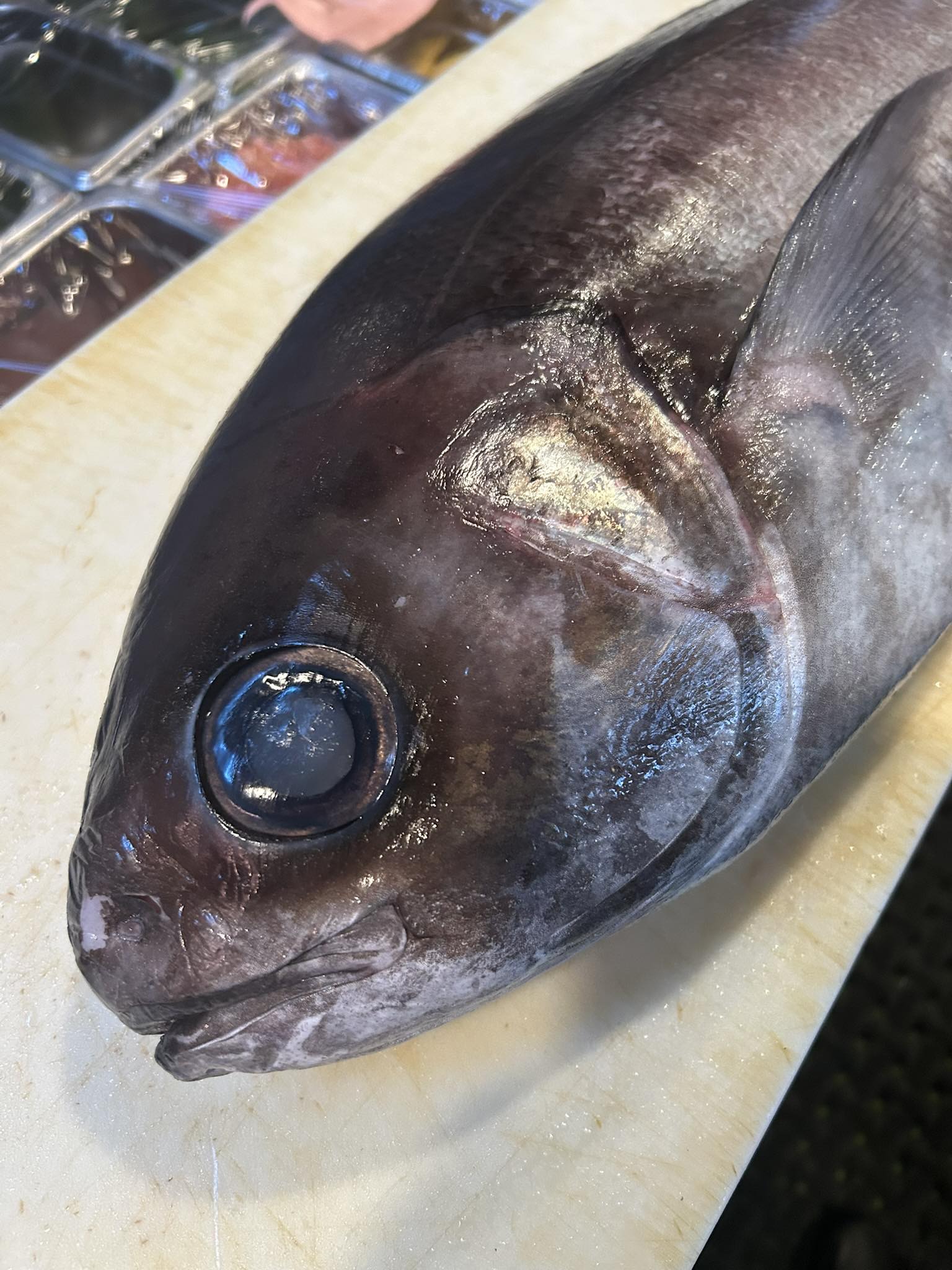 Tanuki’s Den Arcata