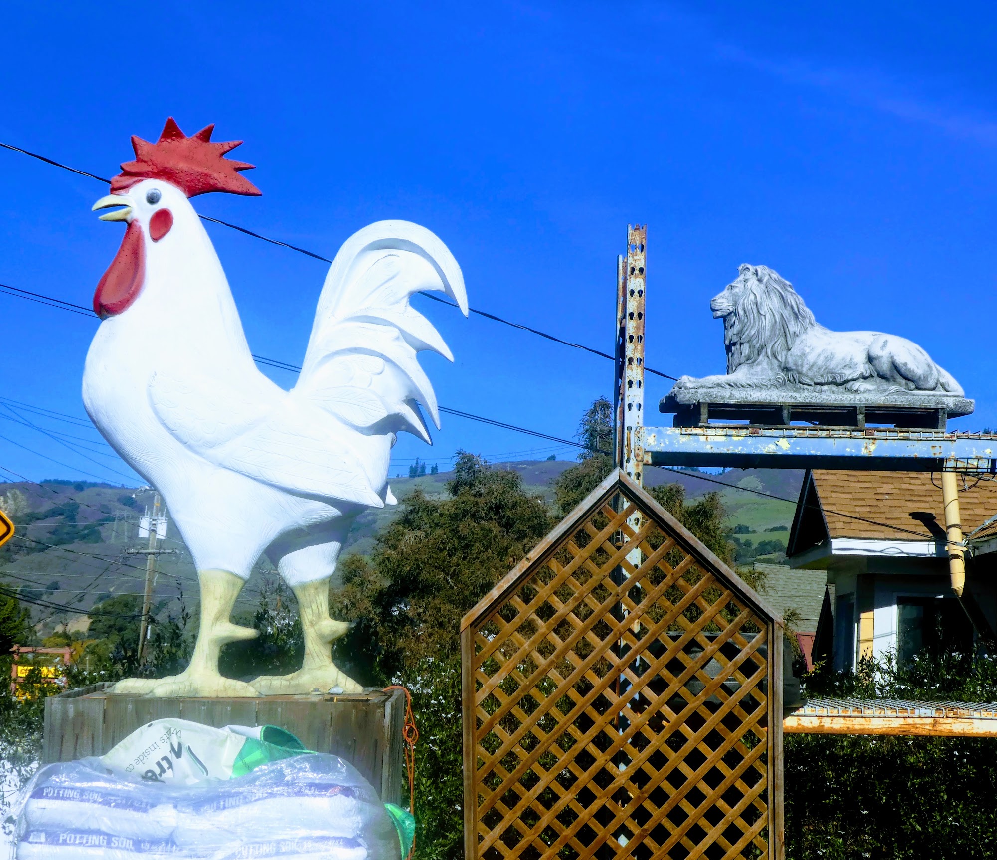 Aromas Feed & Ranch Supplies Aromas