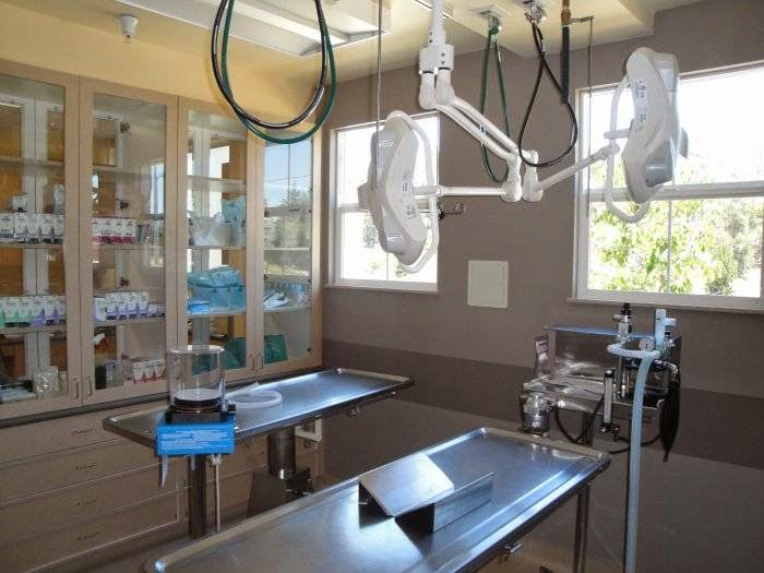 VCA South County Animal Hospital Arroyo Grande