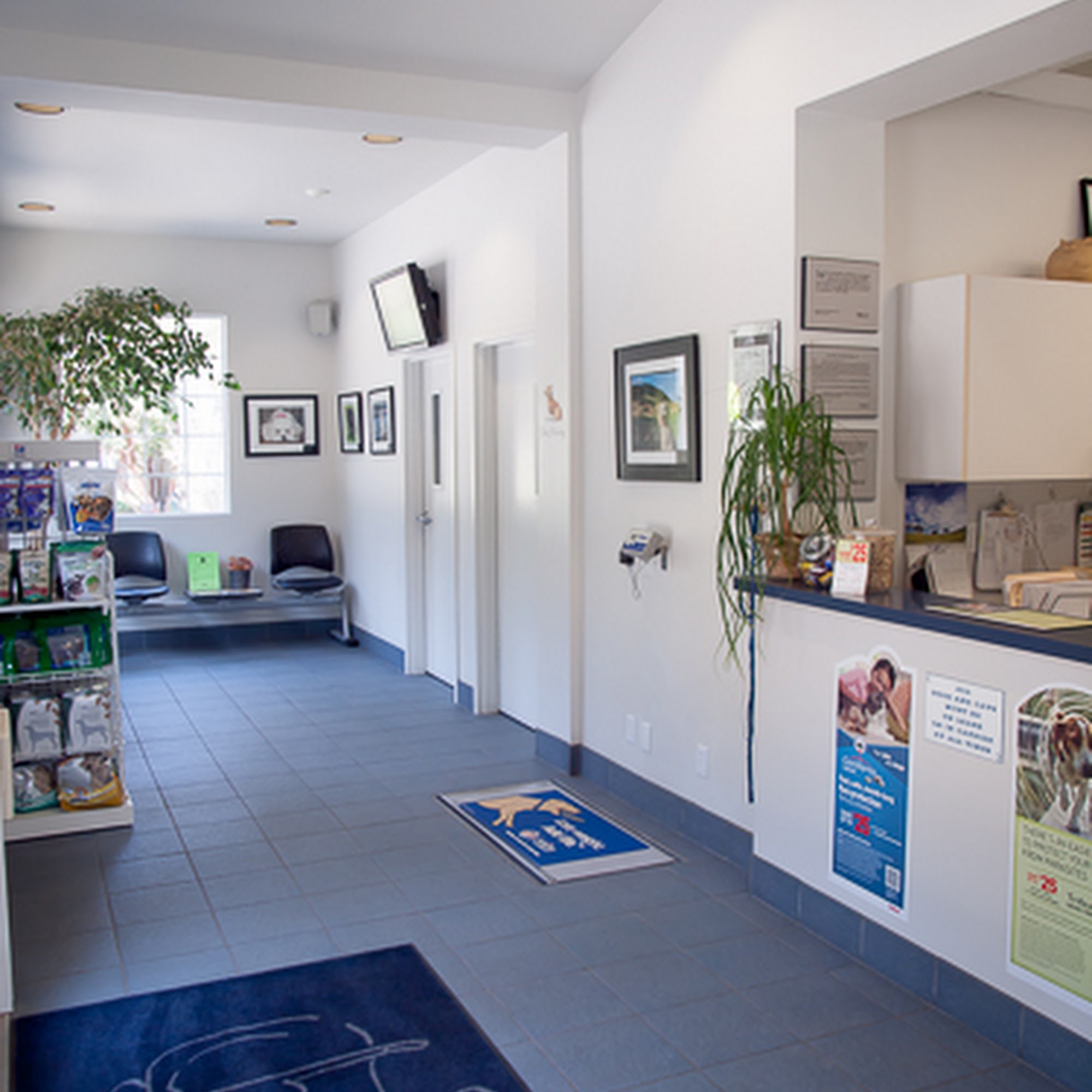 Primary Care Animal Hospital Arroyo Grande