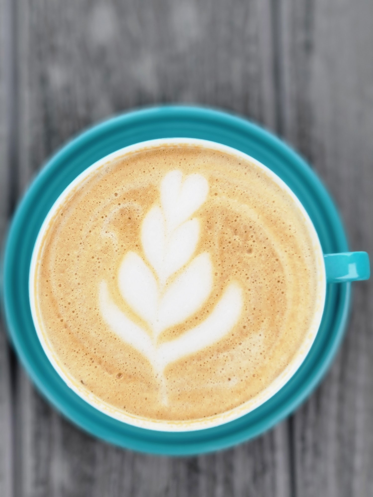 Tribe Coffeehouse Arroyo Grande