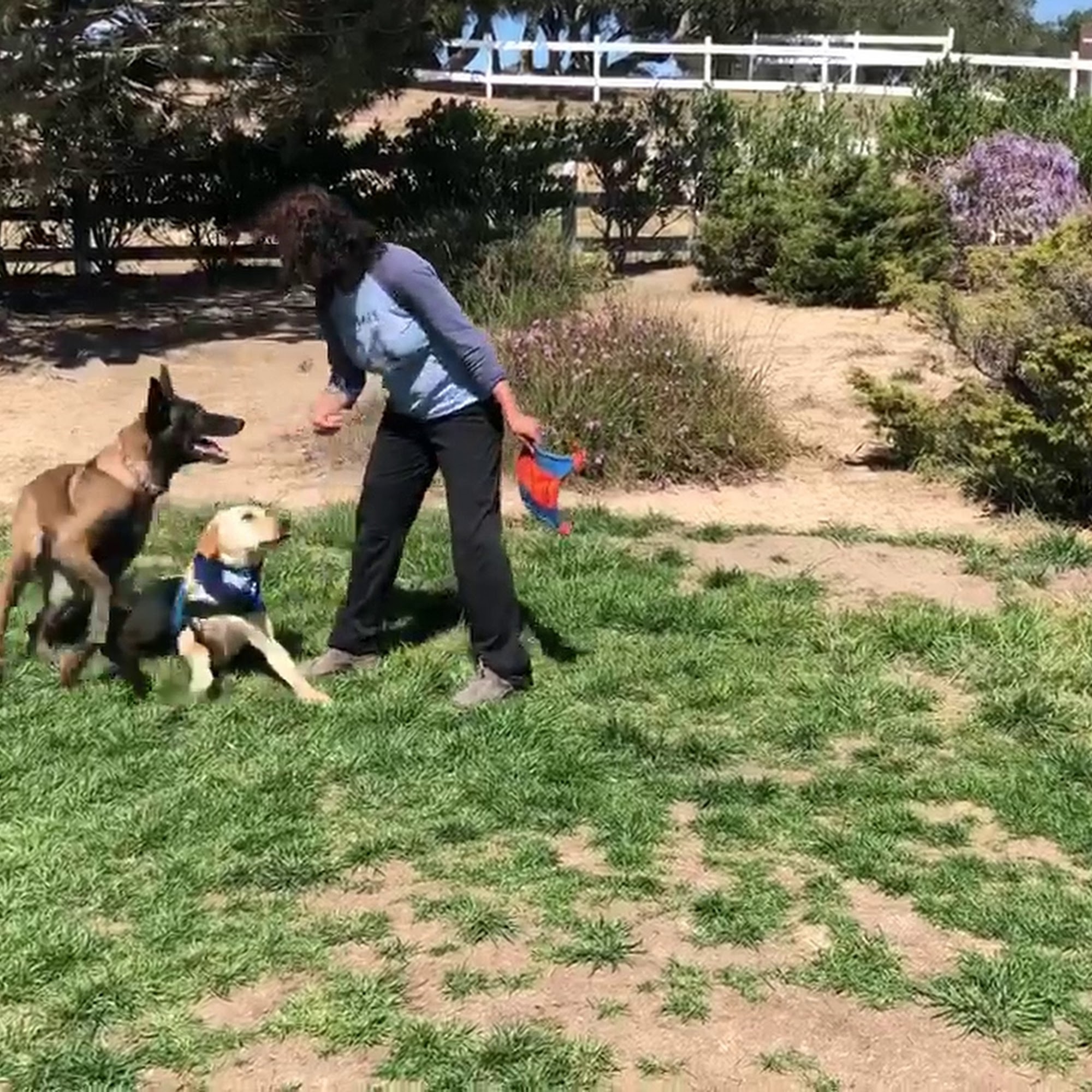 Doggie Do Good Arroyo Grande