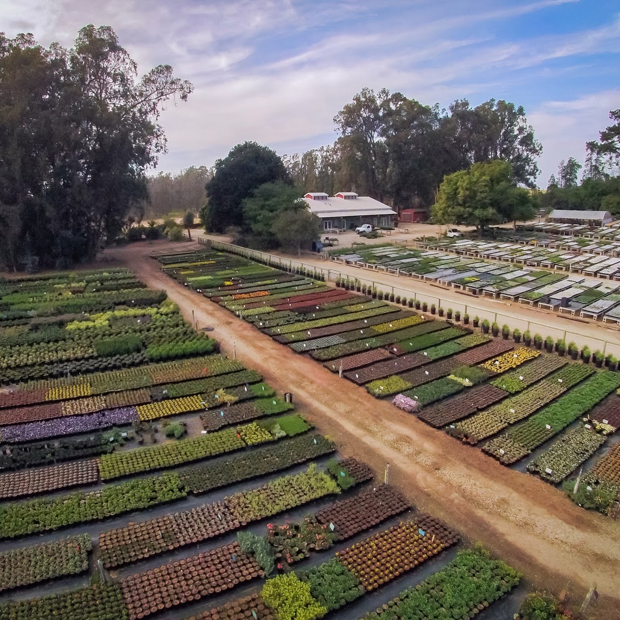 Native Sons Wholesale Nursery Arroyo Grande
