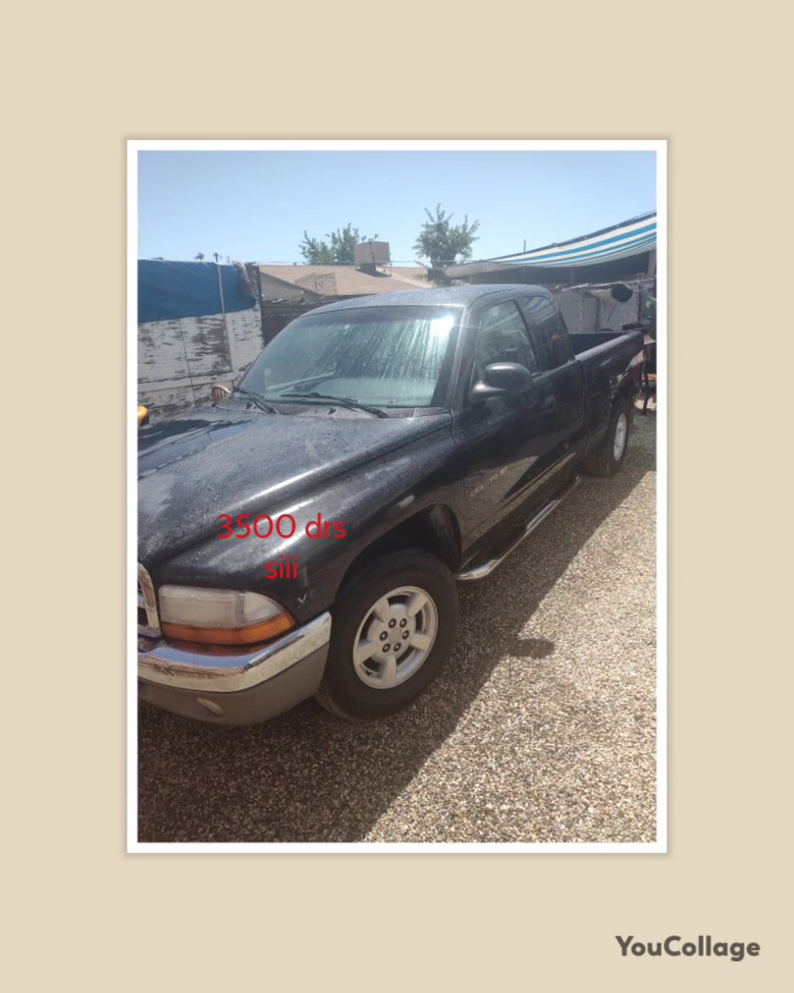 Health & Fitness/ Salud Y Bienestar