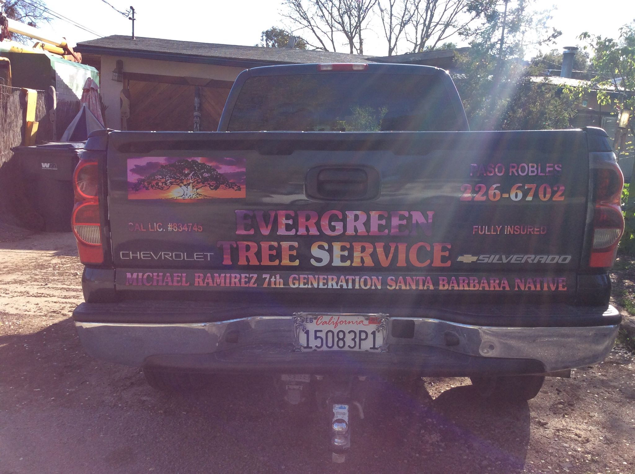 Evergreen tree service