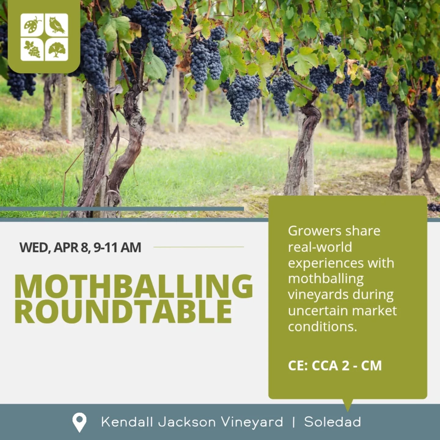 Vineyard Team Atascadero