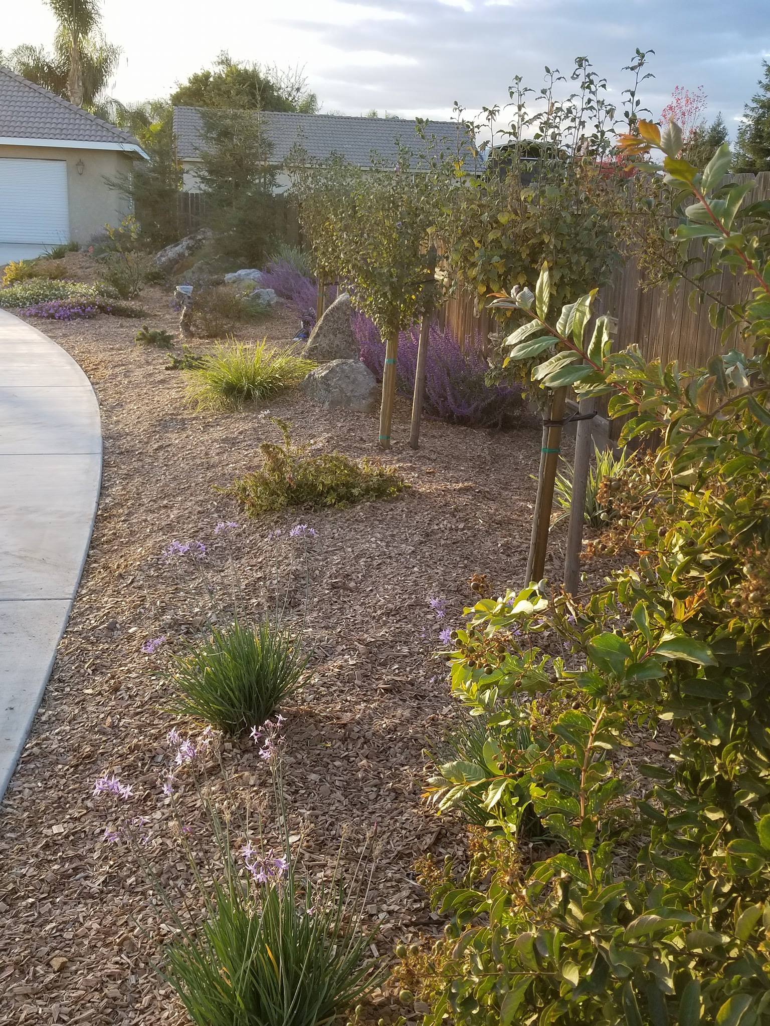 Evergreen Landscape Service