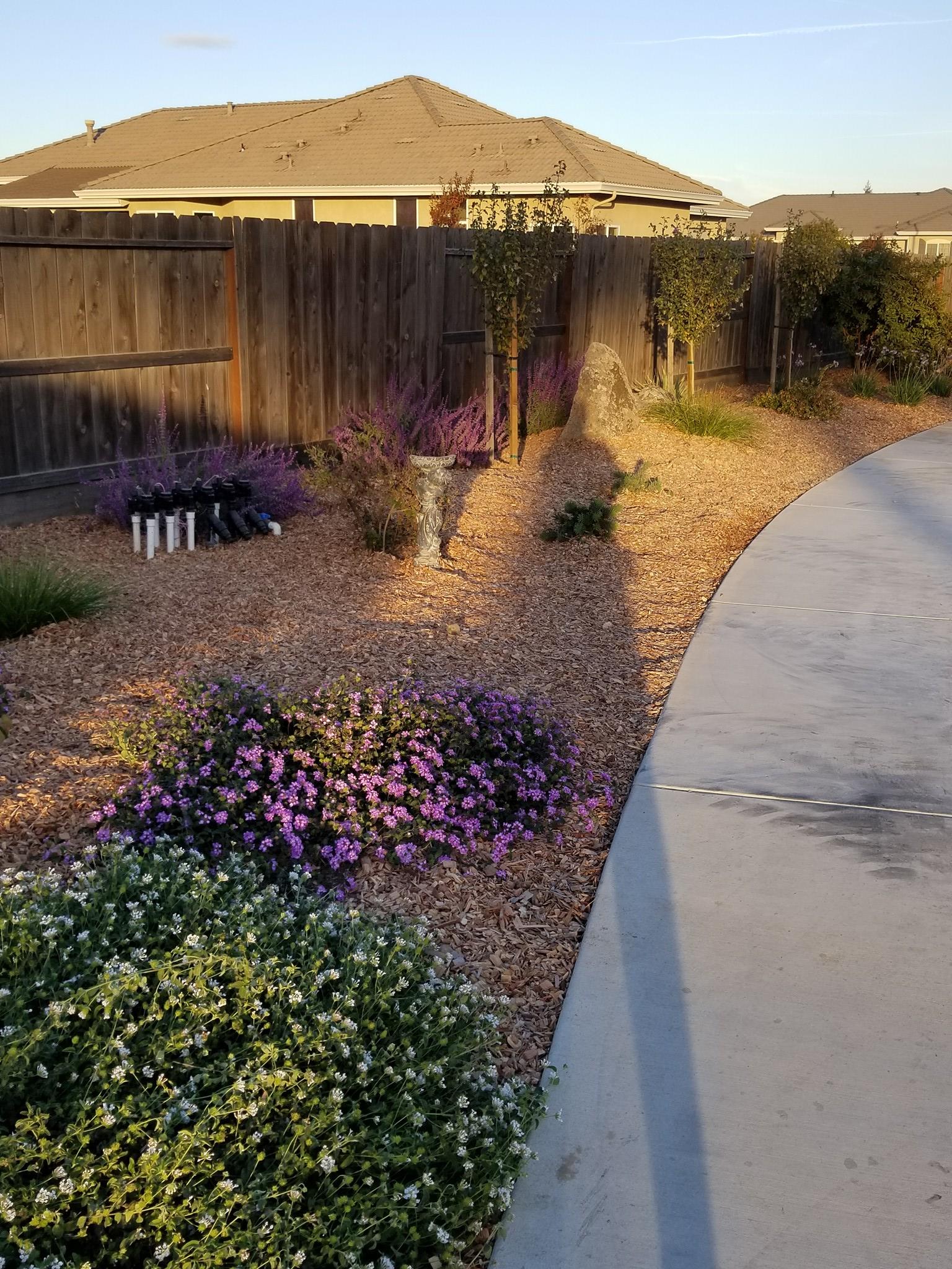 Evergreen Landscape Service