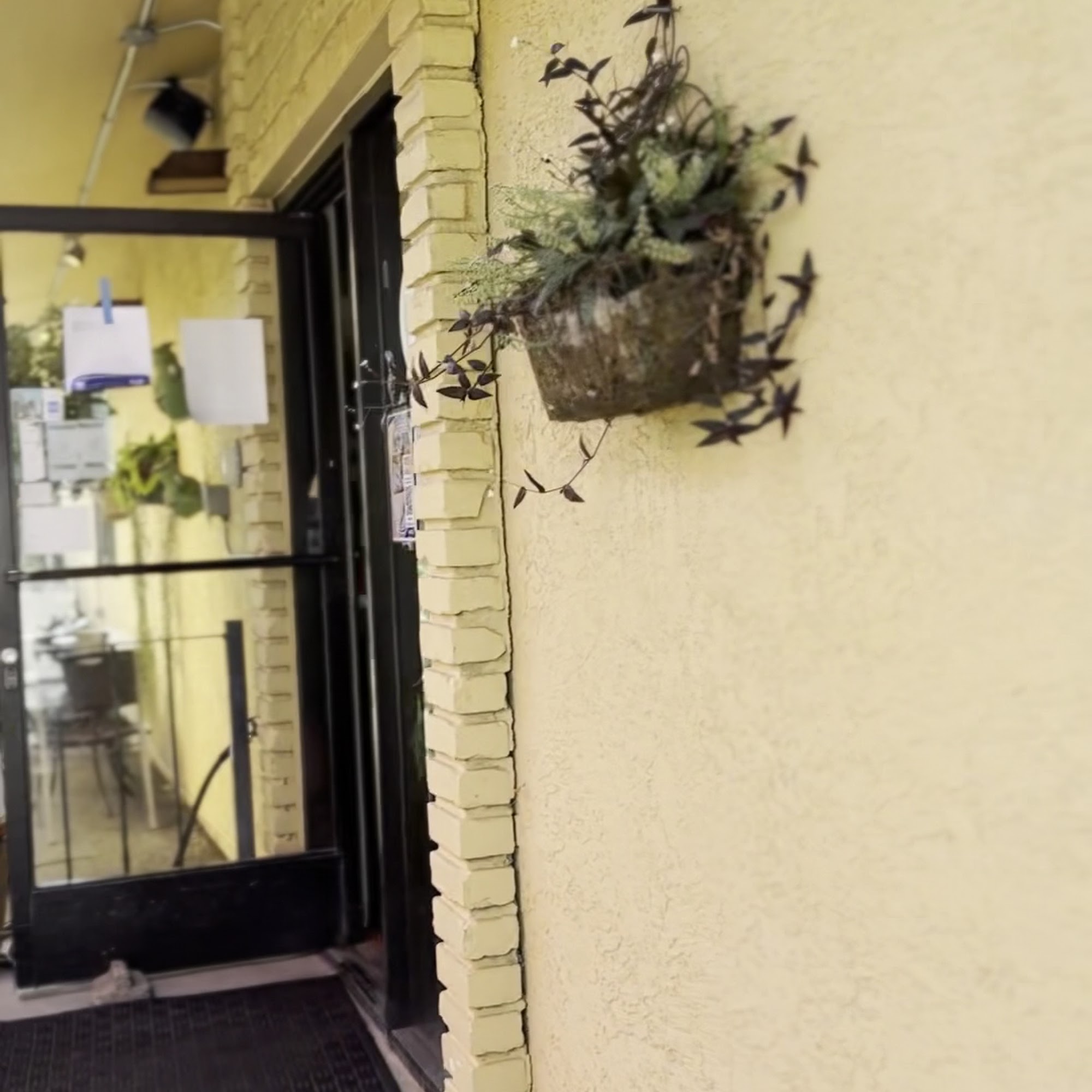 Maria's Méxican Tacos Auburn