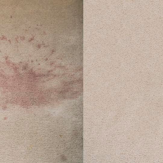 Stain Buster's Carpet and Tile Cleaning