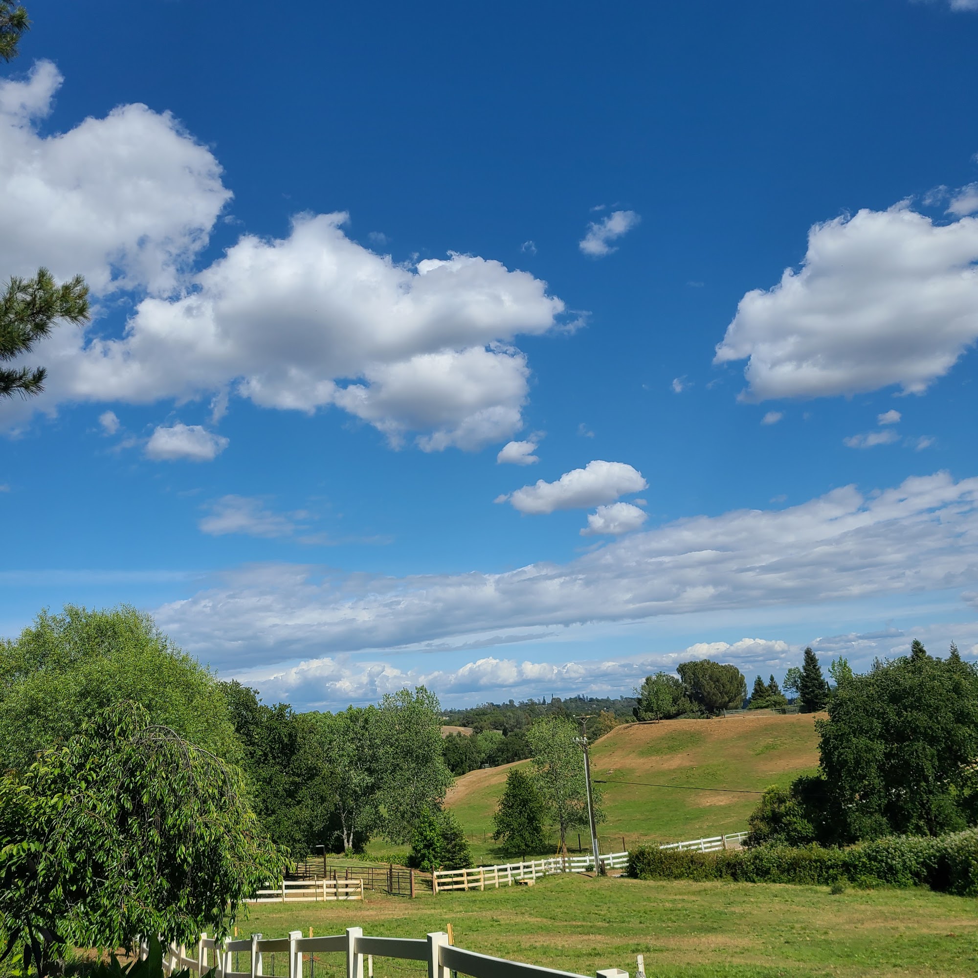 Hidden Creek Farms Auburn