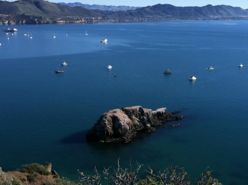 Salvini Financial Planning