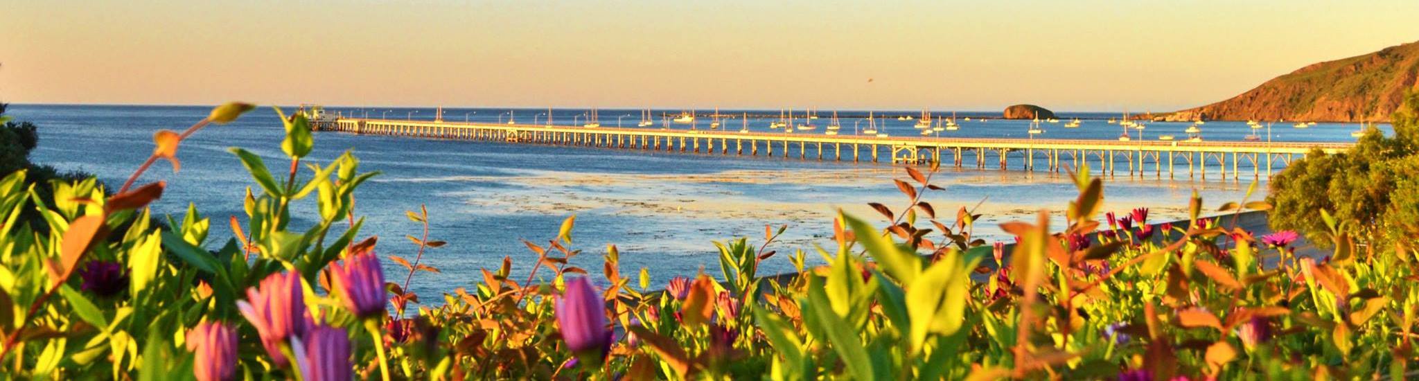 Salvini Financial Planning