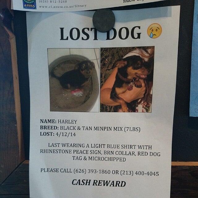 Photo credit: nextdoor