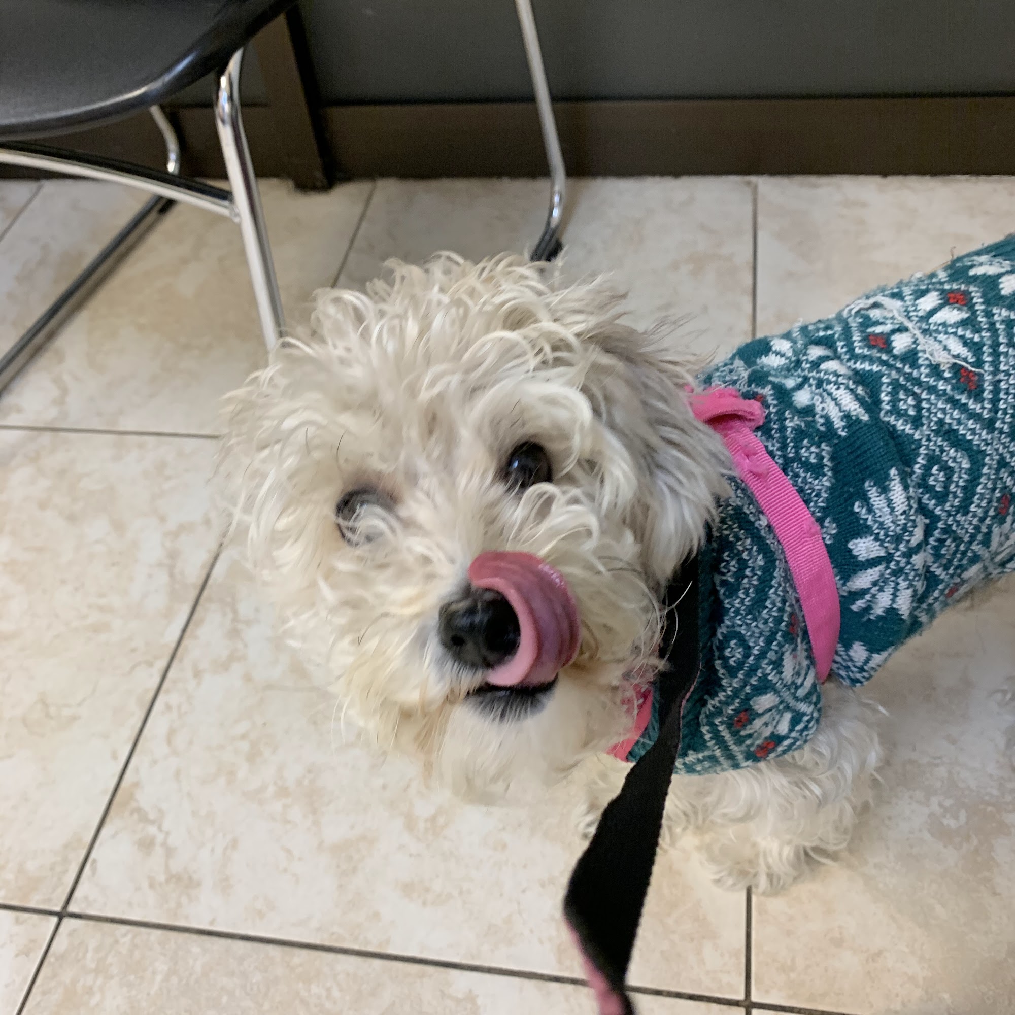 Azusa Animal Hospital Azusa