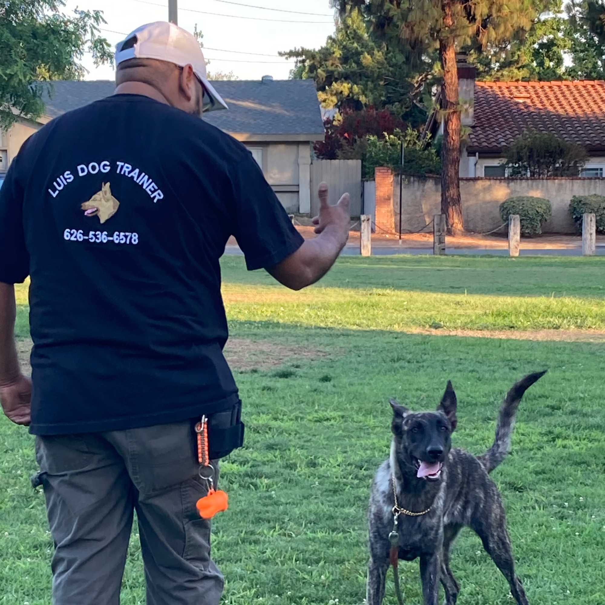 Luis Dog Trainer Azusa