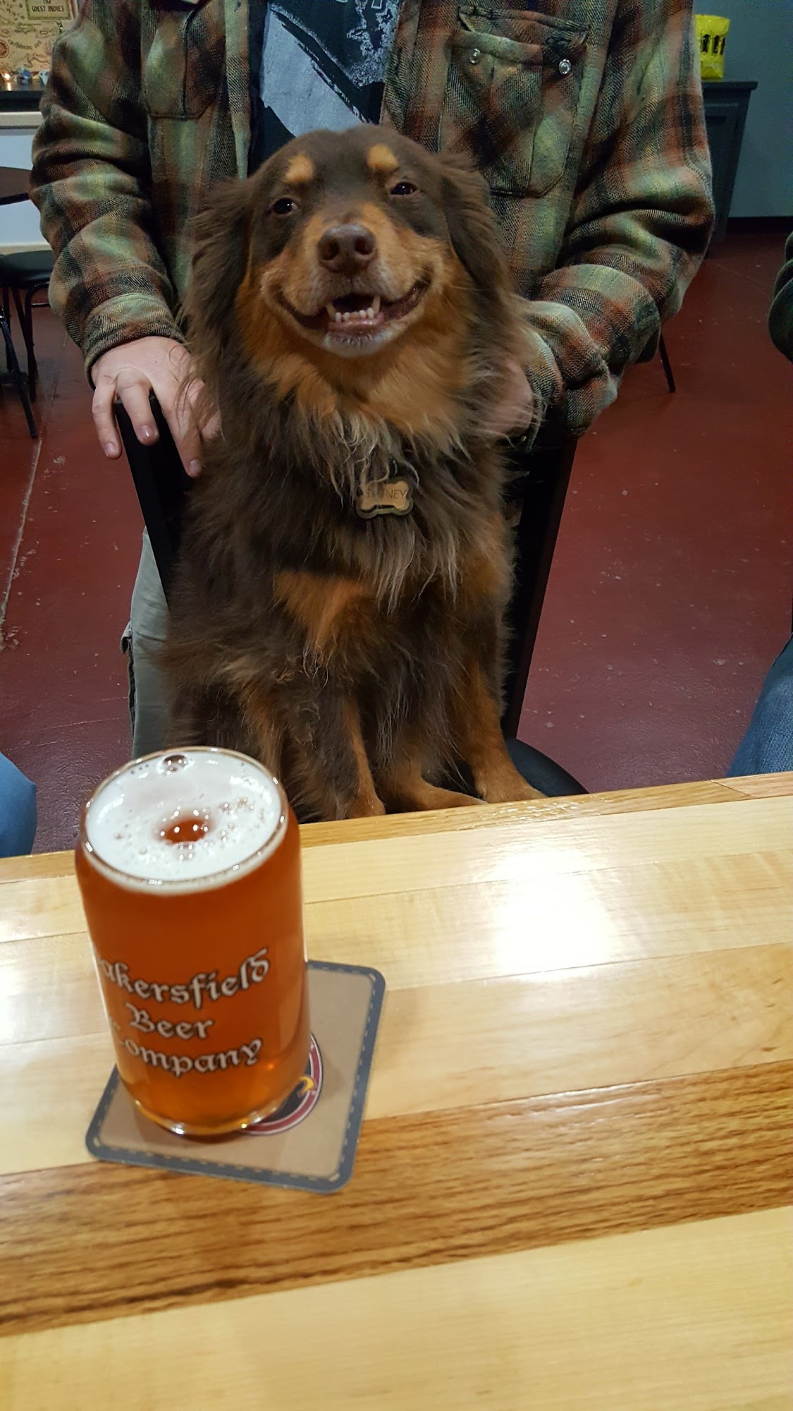 Bakersfield Beer Company Bakersfield