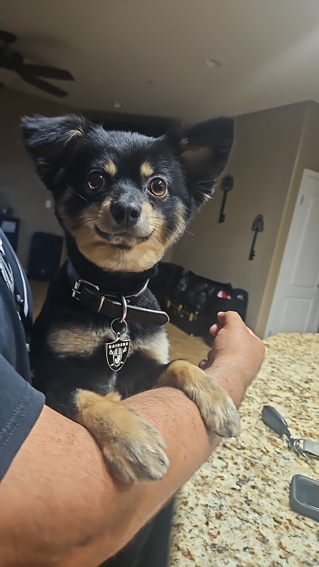 The Pet Styling Co. Bakersfield