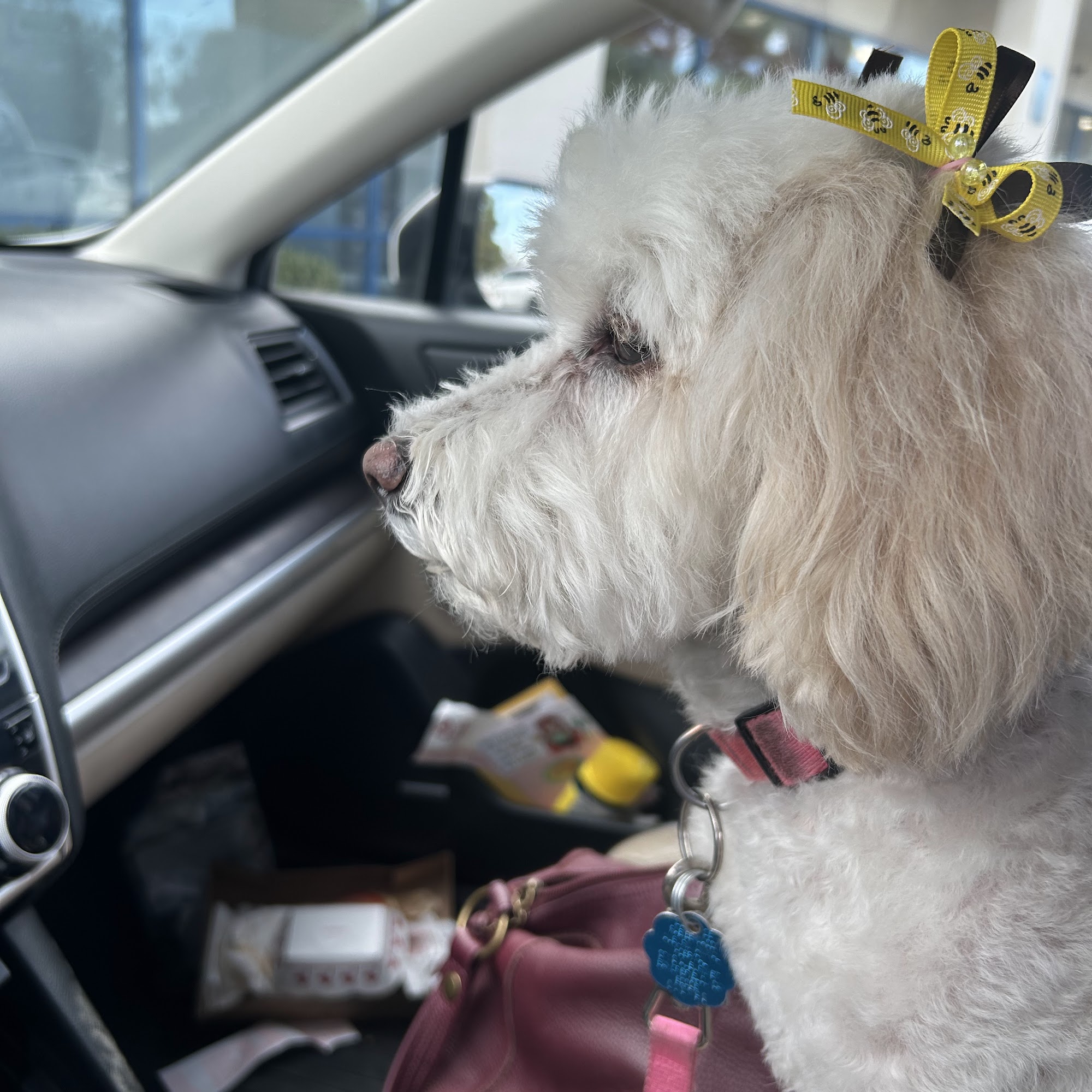 The Pet Styling Co. Bakersfield