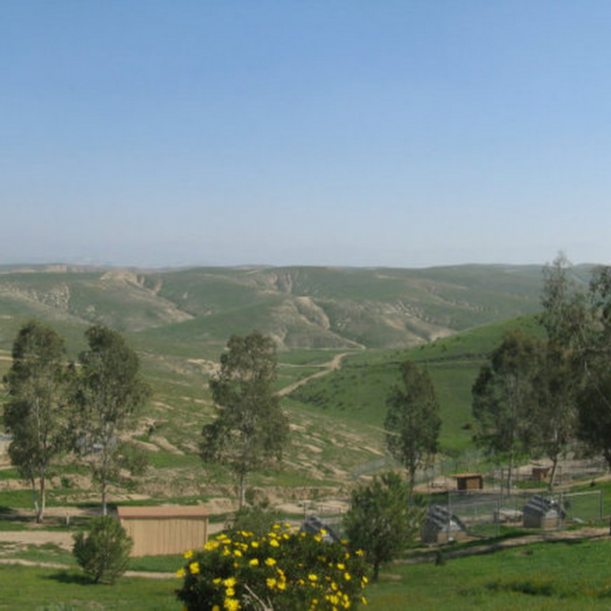 Alpha Canine Sanctuary Bakersfield