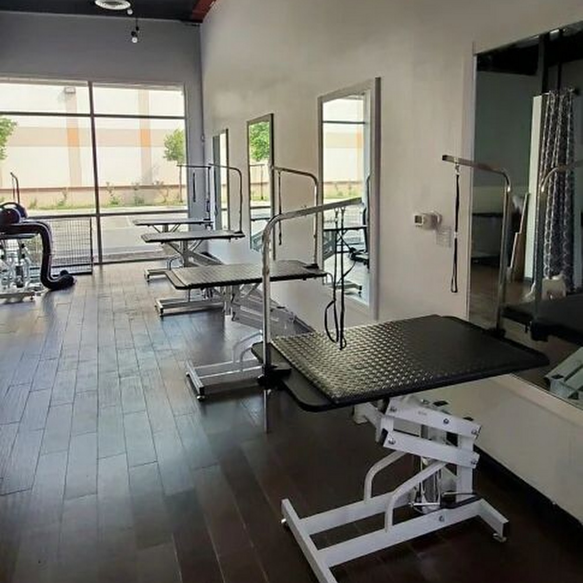 The Dog Haus Bakersfield