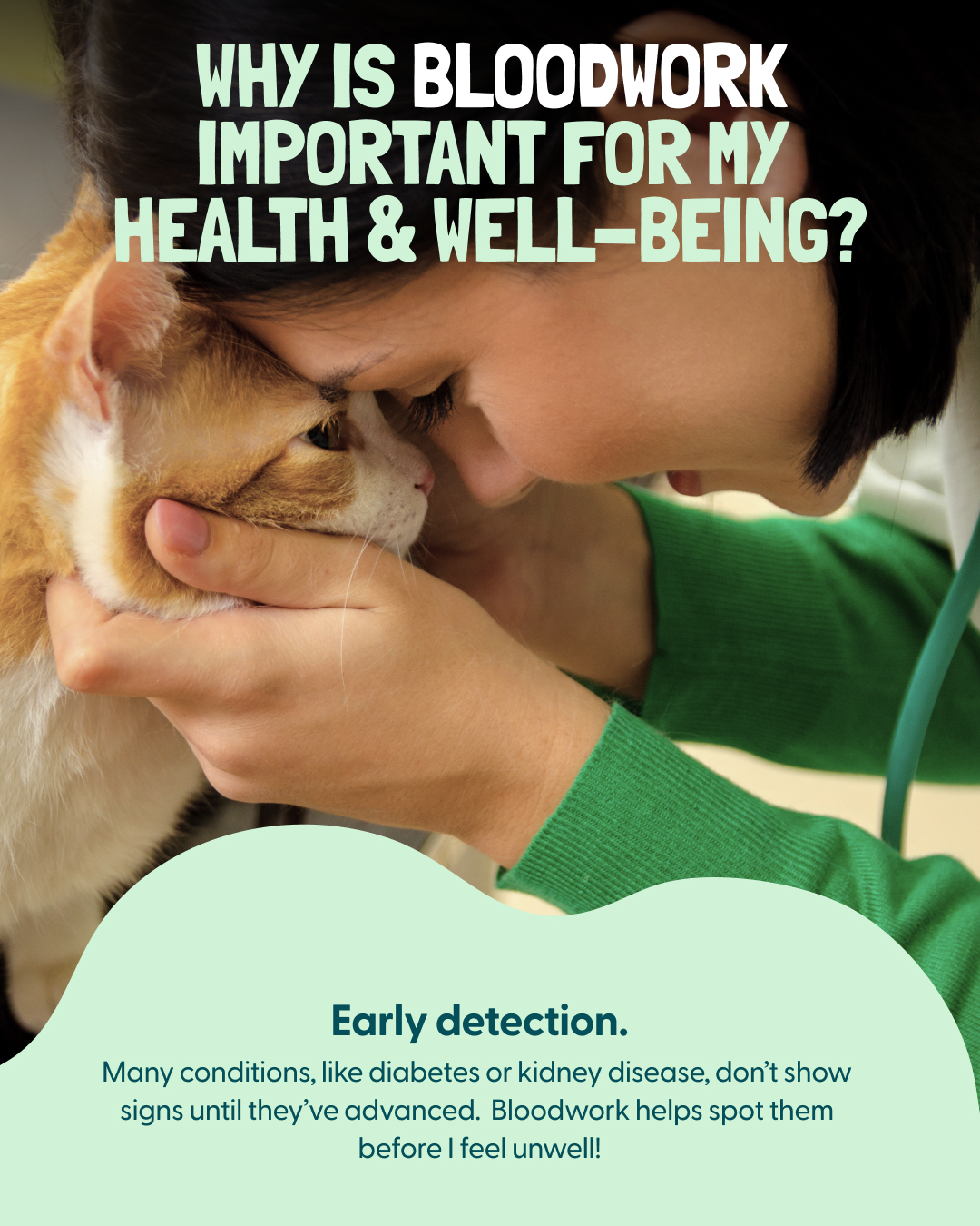 Southwest Veterinary Hospital: Clark Sherry K DVM Bakersfield