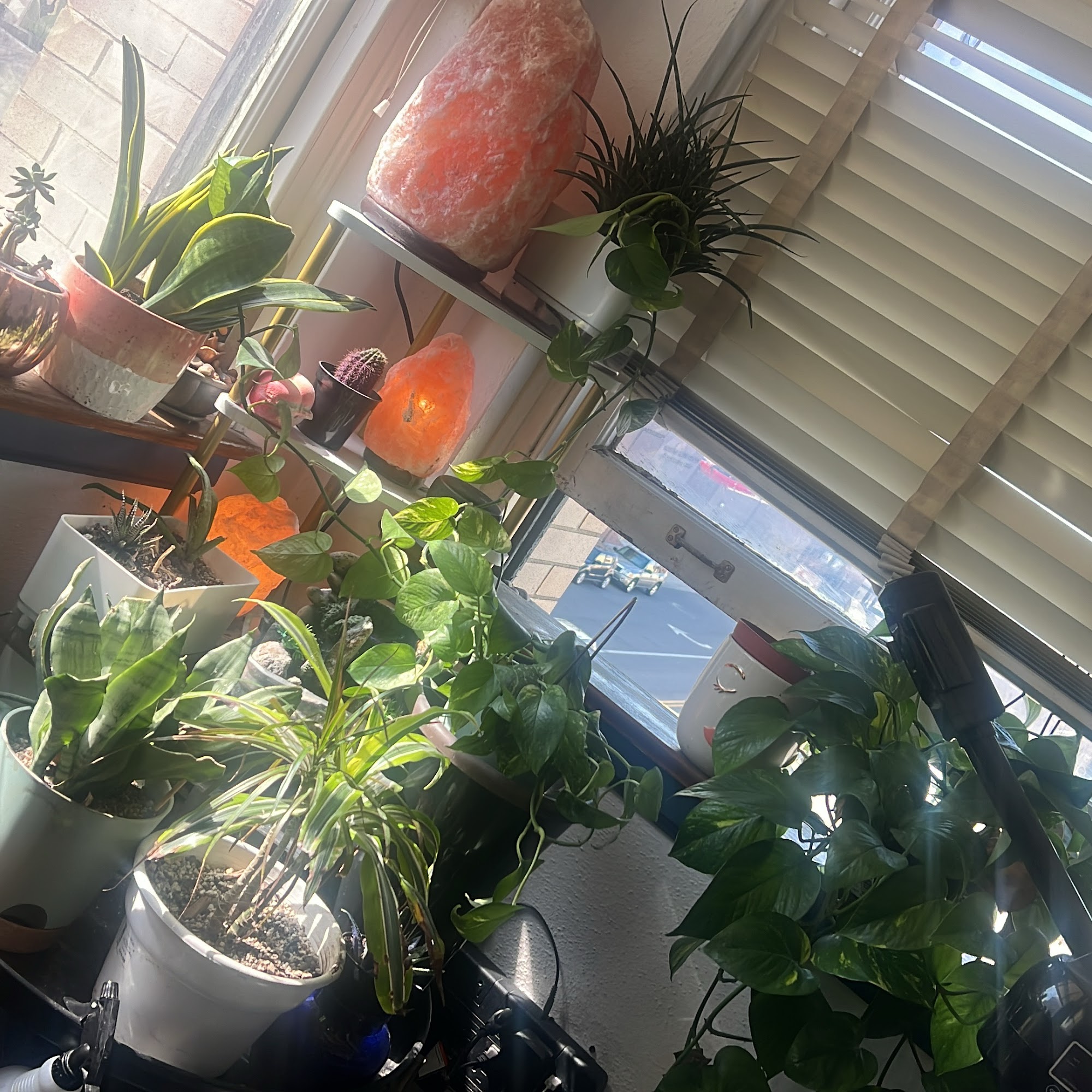 Son of a Peach! Wax studio 1412 17th St #306, Bakersfield California 93301