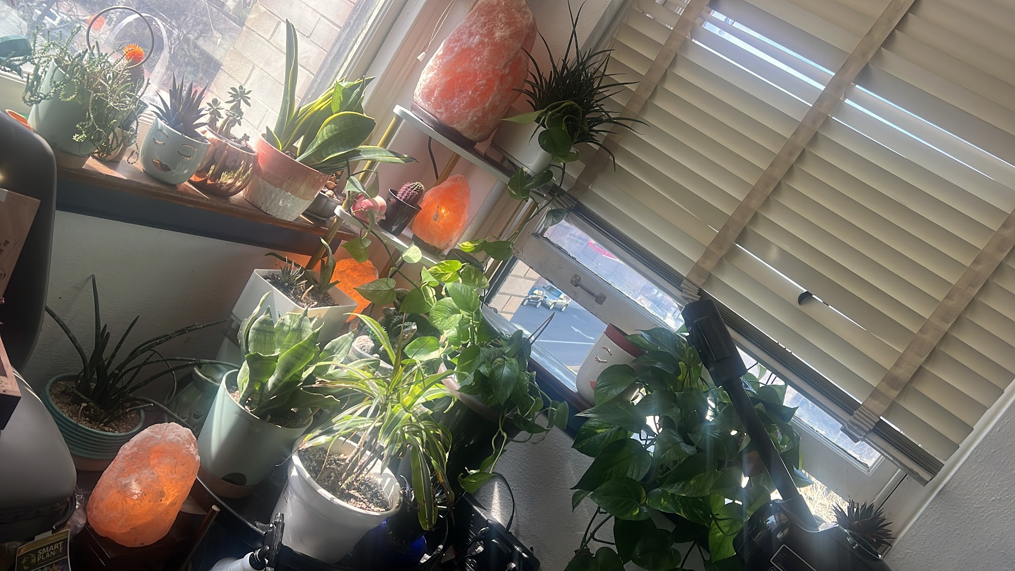 Son of a Peach! Wax studio 1412 17th St #306, Bakersfield California 93301