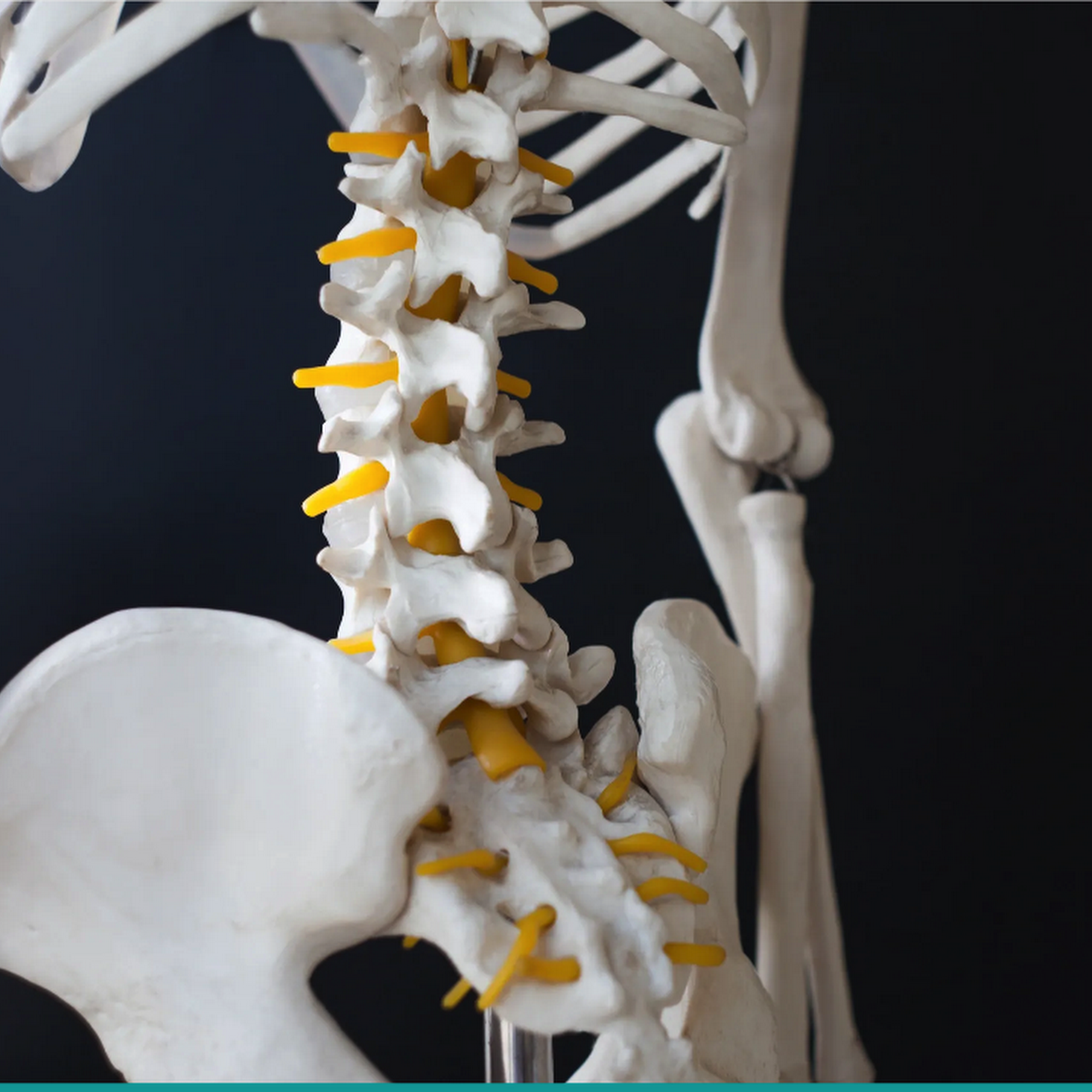 Relief Point Chiropractic