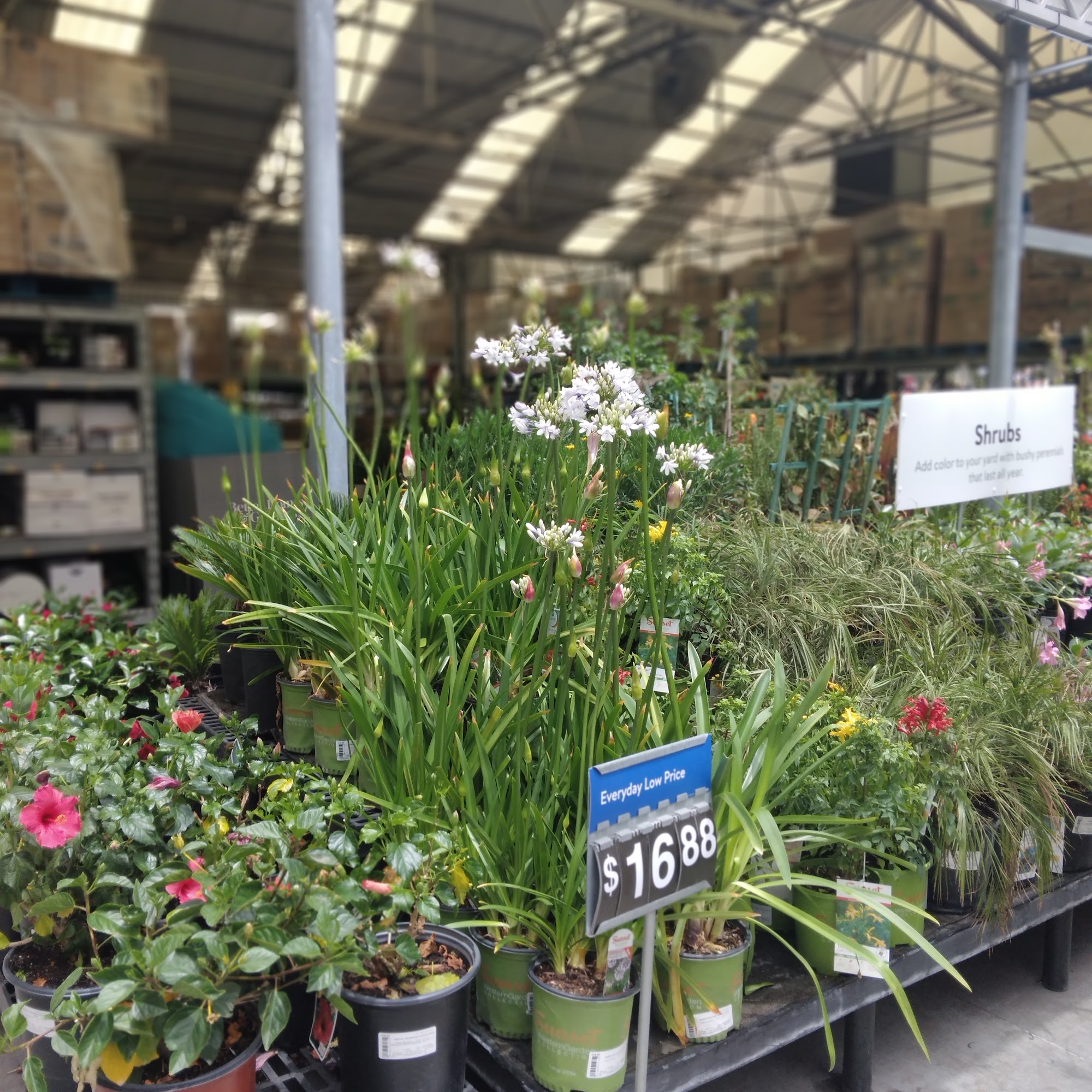 Walmart Garden Center Baldwin Park