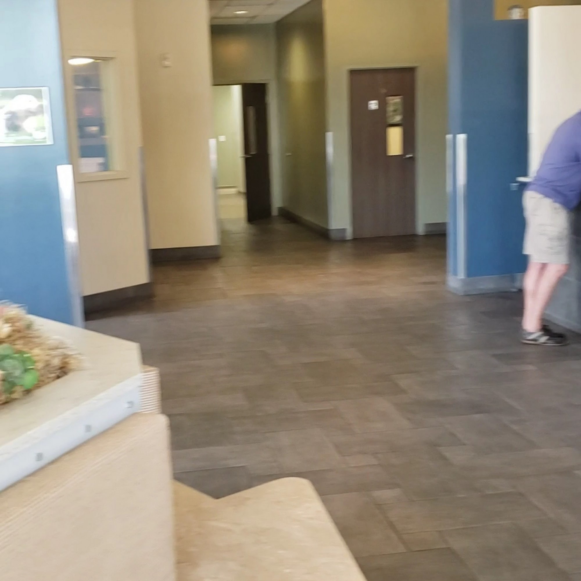 Banning Veterinary Hospital Banning