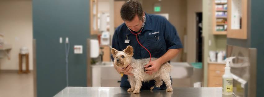 Total Health Medical