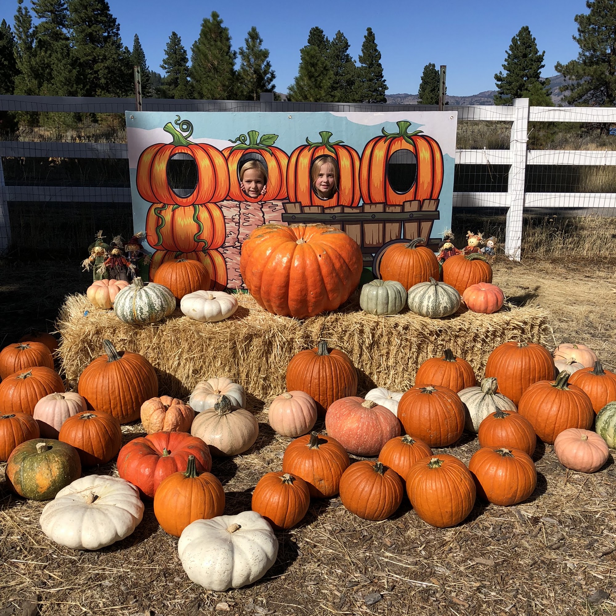 Whittemore Family Farm Beckwourth