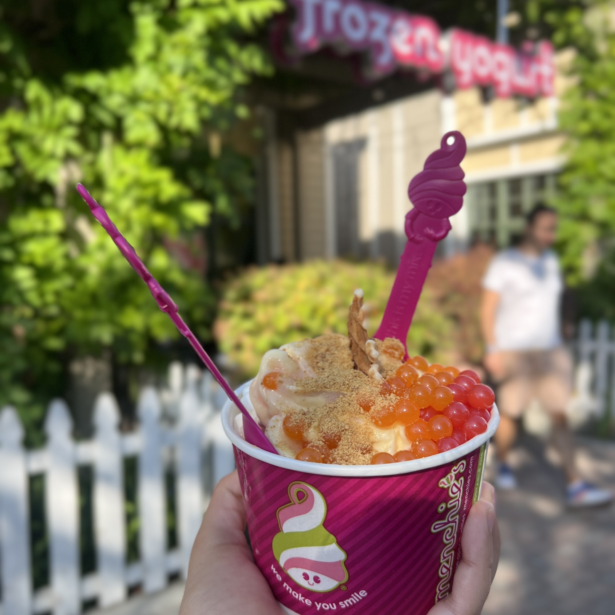 Menchie's Frozen Yogurt Belmont