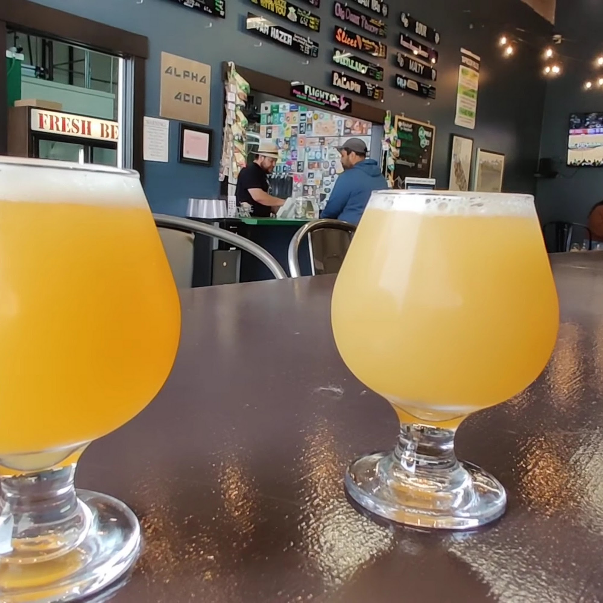 Alpha Acid Brewing Company Belmont