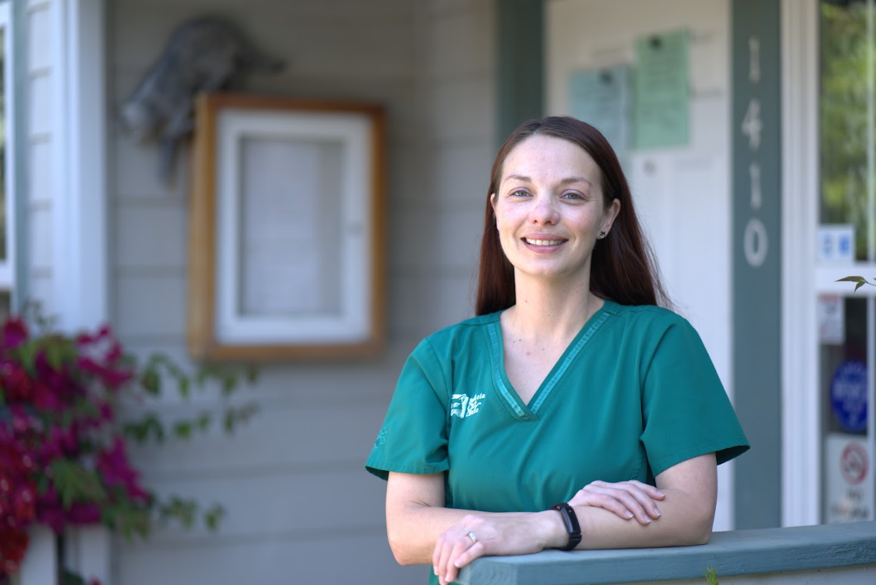 Benicia Cat Clinic Benicia