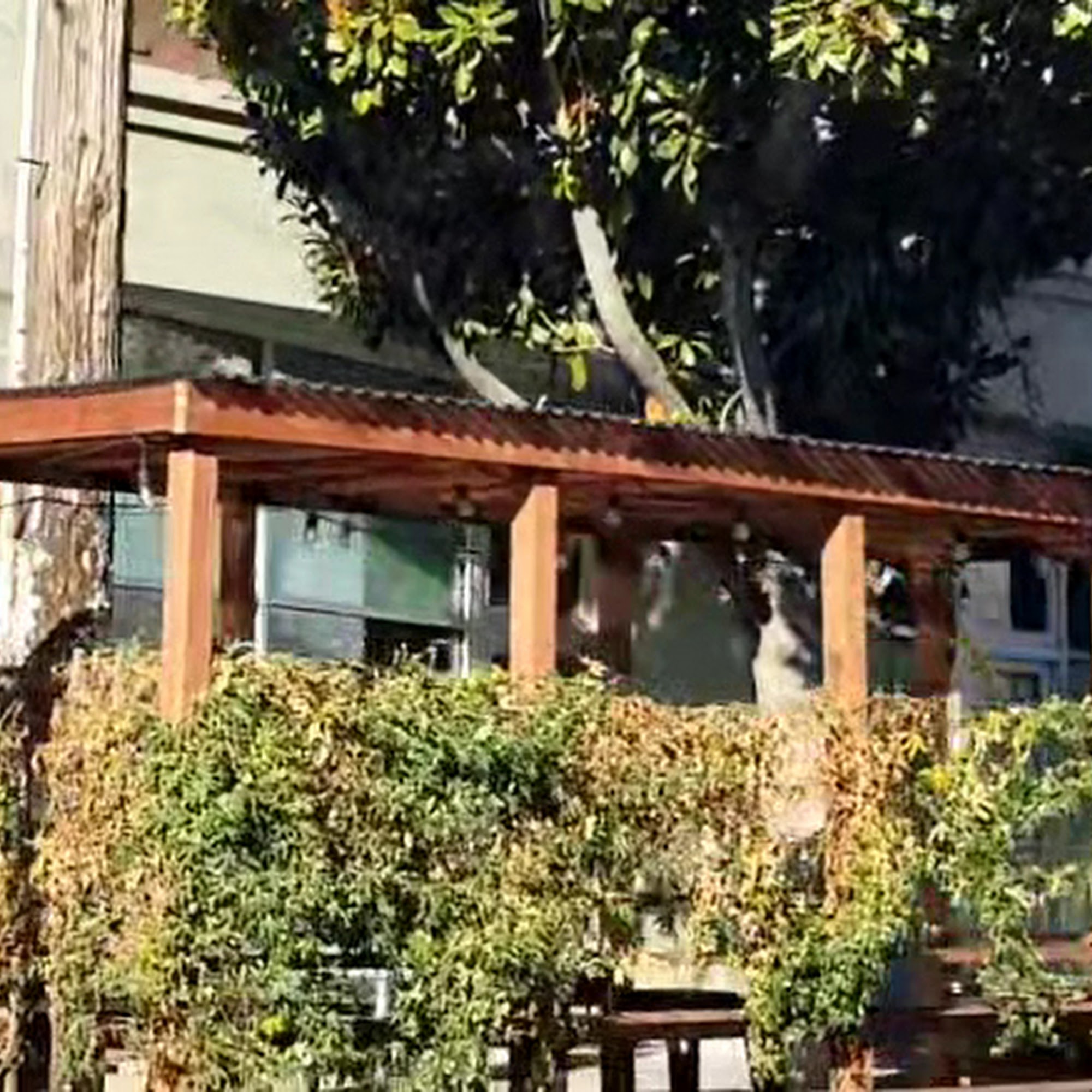 Hoi Polloi Brewing Taproom and Beat Lounge Berkeley