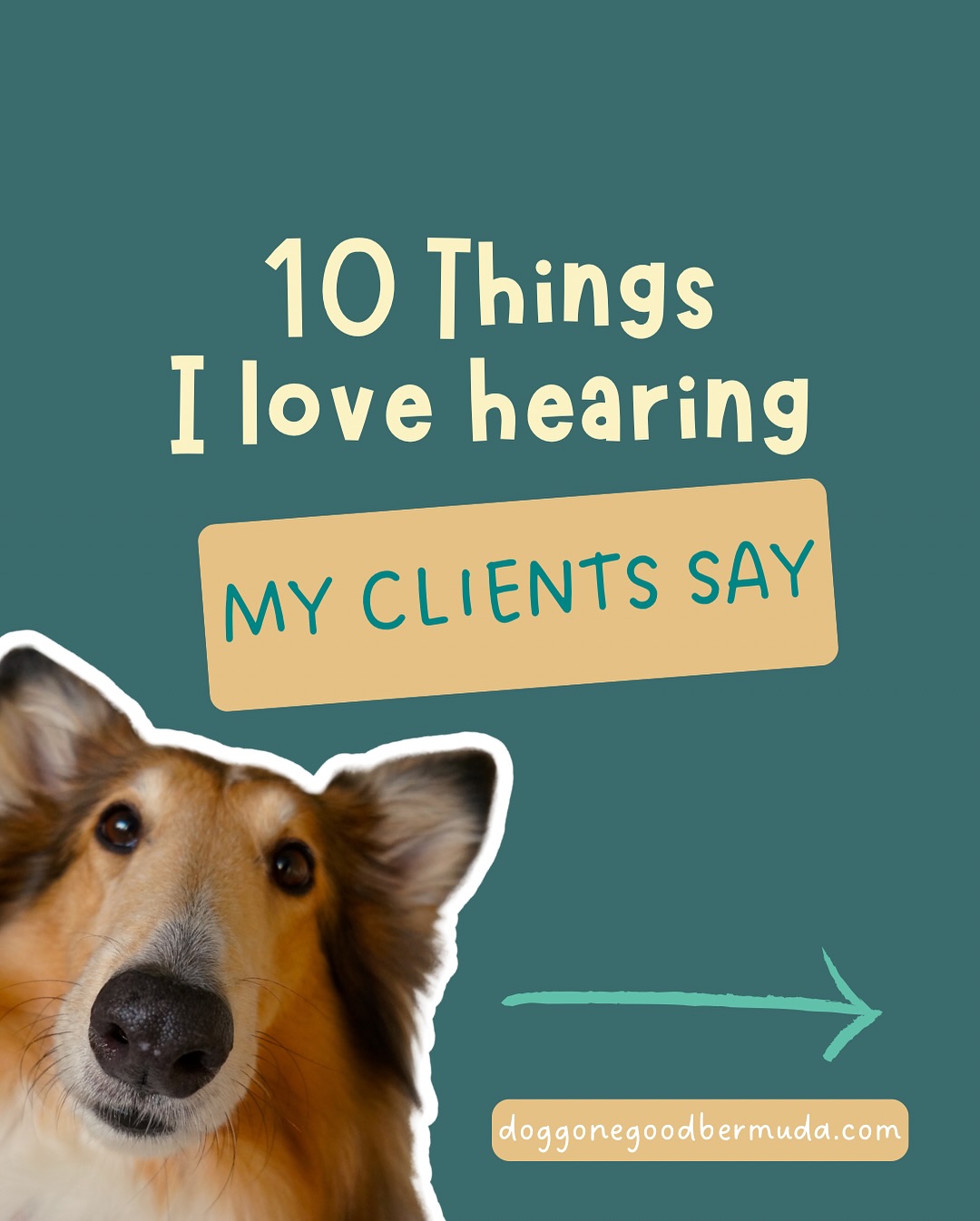 Dog Gone Good Berkeley