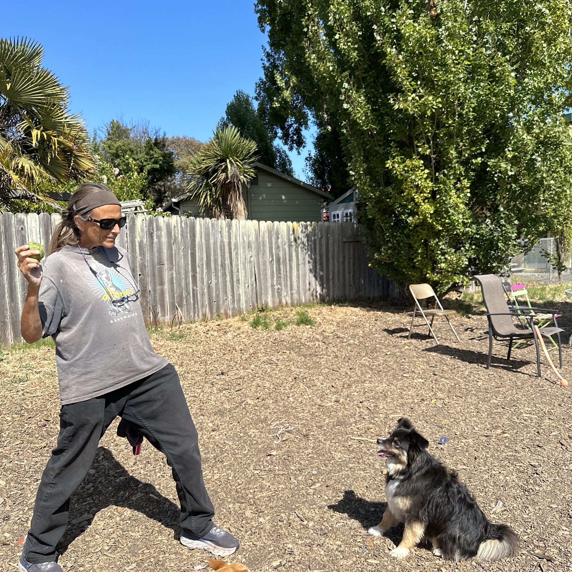 Pal of the Paw Berkeley